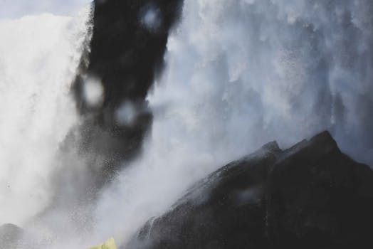 Unlocking the Power of BitTorrent: How Torrents Revolutionize File Sharing