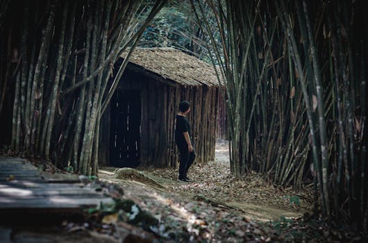 Explore Top Legal Torrent Sites for Free, Safe Downloads