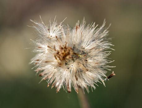 Unlock Faster Downloads: The Essential Guide to Seeding in BitTorrent